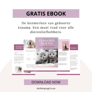 ebook de kenmerken van geboorte trauma