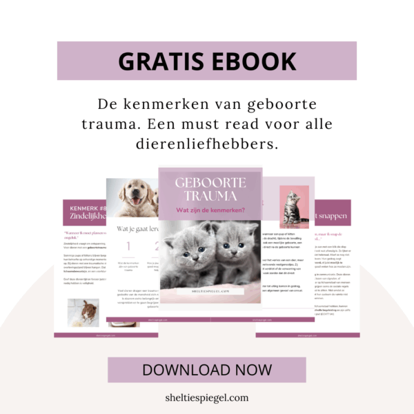 ebook de kenmerken van geboorte trauma