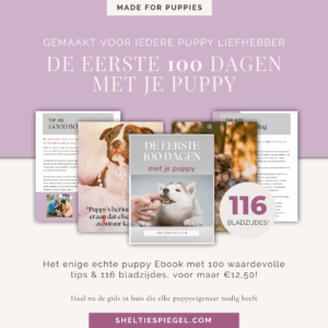 ebook eerste 100 dagen met je puppy
