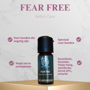 Work With Me bella's cure fear free