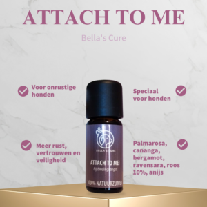 bella's cure attach to me