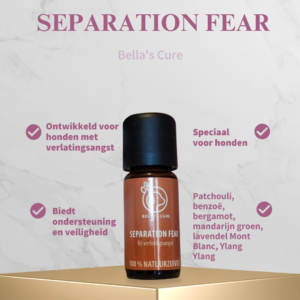 bella's cure separation fear