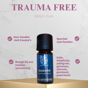 bella's cure trauma free