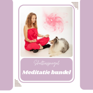 meditatie bundel