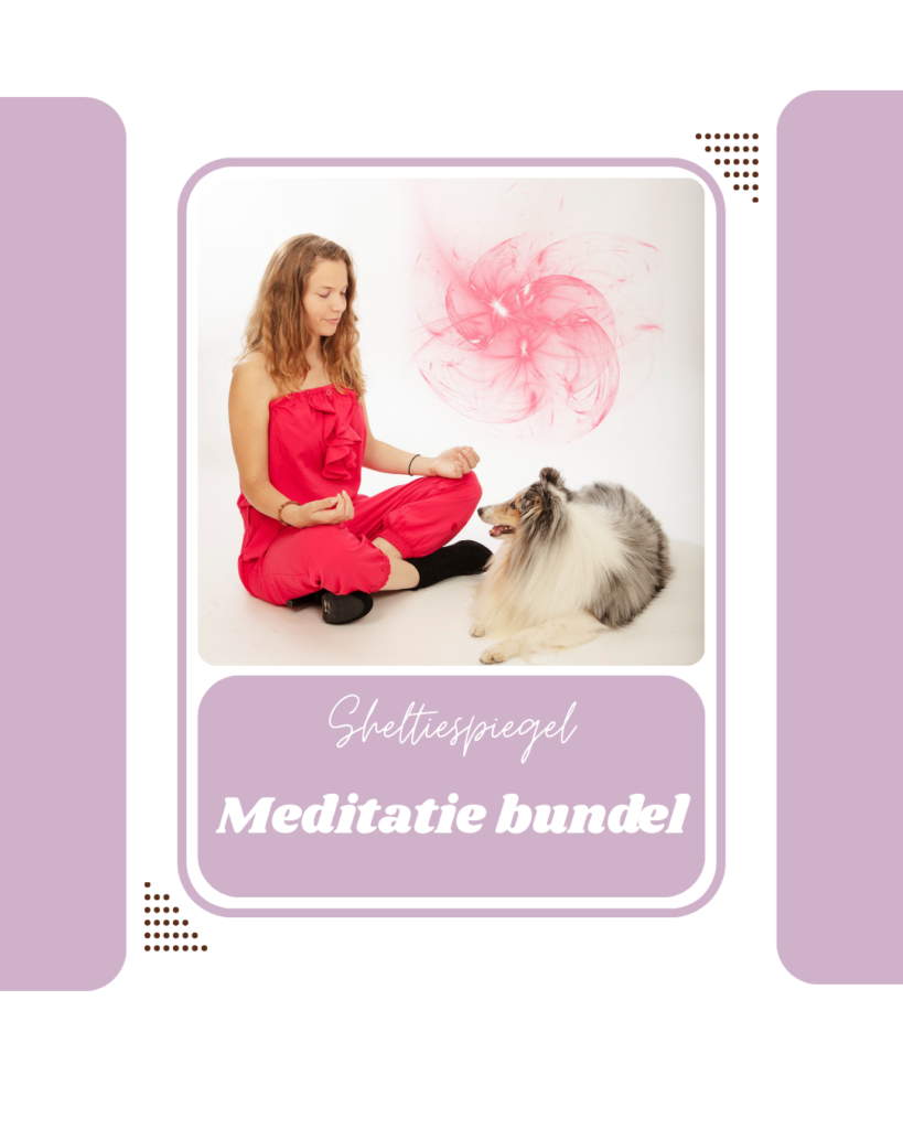meditatie bundel