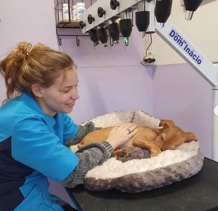 Het kristalbed van Sheltiespiegel