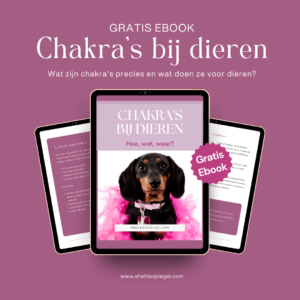 ebook chakra's bij dieren