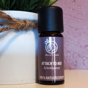 bella's cure confidence