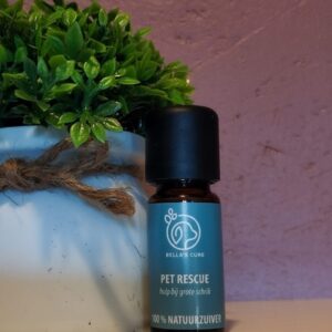 bella's cure confidence