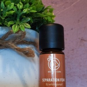 bella's cure confidence