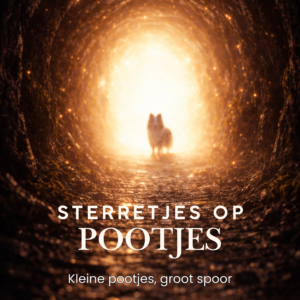 sterretjes op pootjes